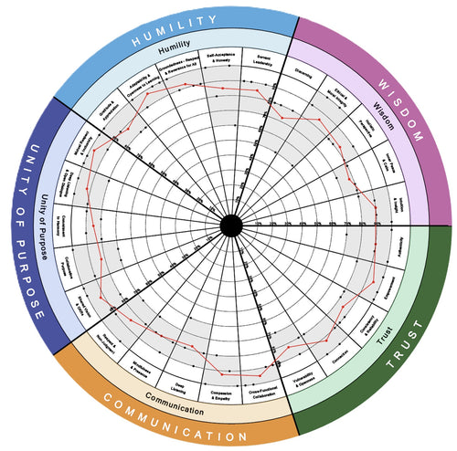 Full Organization Assessment and Growth Planning (Per team of 10) * Volume discounts available